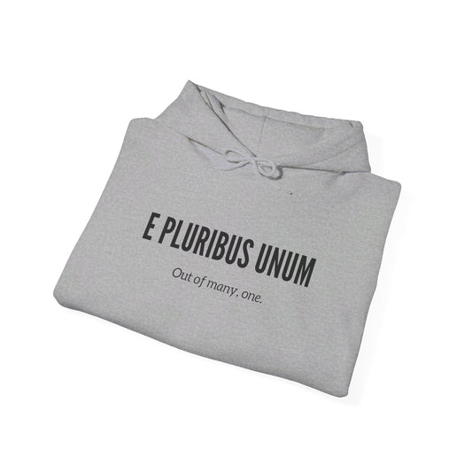 E Pluribus Unum Unisex Heavy Blend™ Hooded Sweatshirt