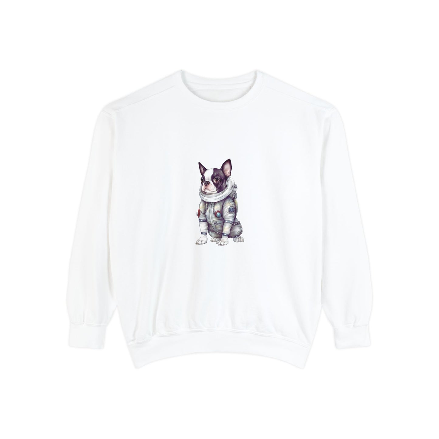 Frenchy Space Unisex Garment-Dyed Sweatshirt